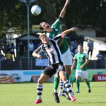 Kaminski_a_FCG_SG09